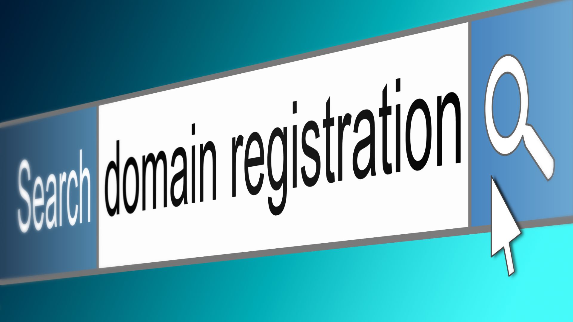 search domain registration